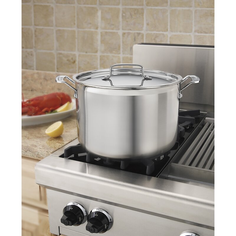 Cuisinart Stainless Steel Stock Pot With Lid & Reviews | Wayfair